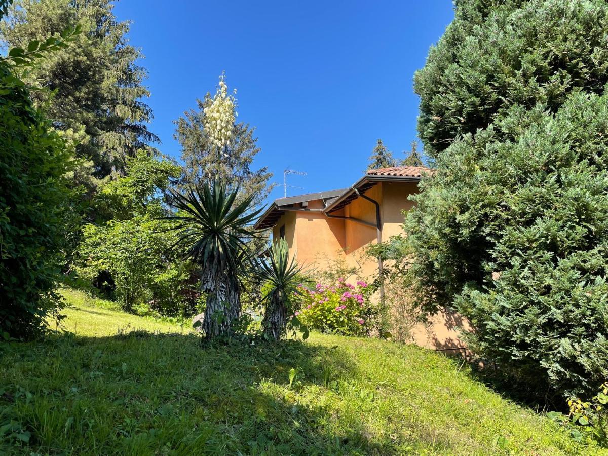 Appartamento Lake View Di Villa Giuliana Sulzano Bagian luar foto